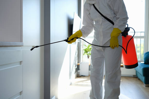 Best Mold Testing  in Delcambre, LA