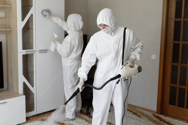 Best Commercial Mold Removal  in Delcambre, LA