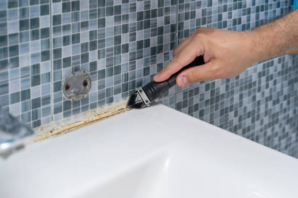 Best Residential Mold Removal  in Delcambre, LA