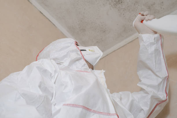 Best Mold Testing  in Delcambre, LA