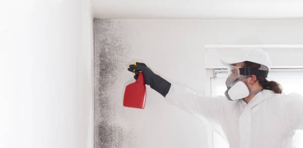 Best Emergency Mold Removal  in Delcambre, LA