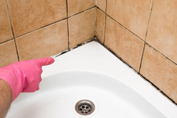 Best Mold Damage Repair  in Delcambre, LA